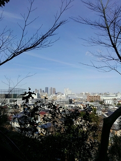 20200219_130213_284.jpg