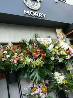 20200317_MORRY.jpg